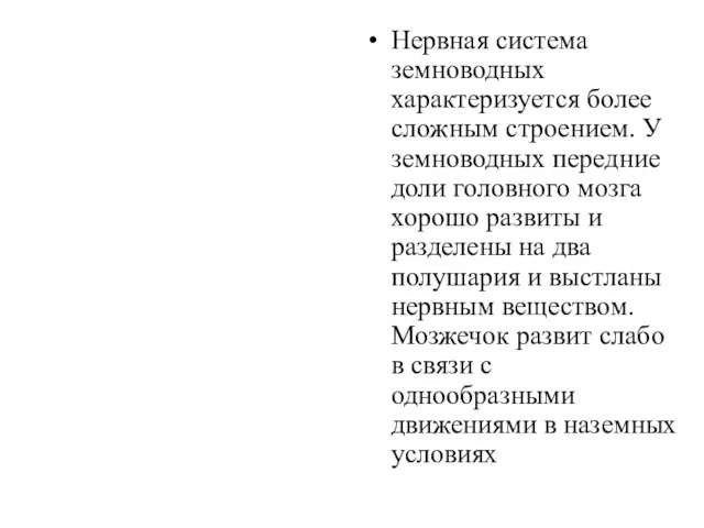 Нервная система земноводных характеризуется более сложным строени­ем. У земноводных передние доли