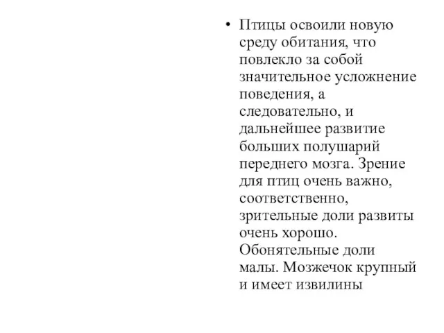 Птицы освоили новую среду обитания, что повлекло за собой значитель­ное усложнение