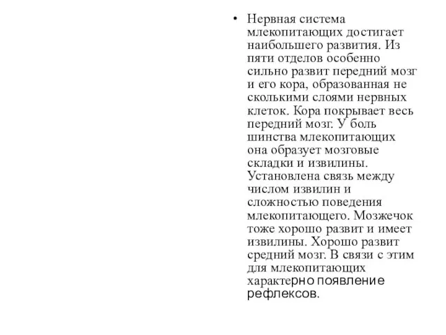 Нервная система млекопитающих достигает наибольшего развития. Из пяти отделов особенно сильно