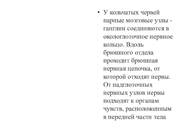 У кольчатых червей парные мозговые узлы - ганглии соединяются в около­глоточное