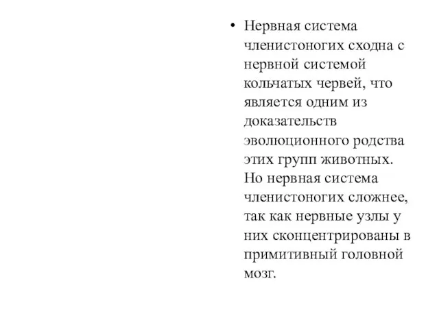 Нервная система членистоногих сходна с нервной системой кольчатых червей, что является