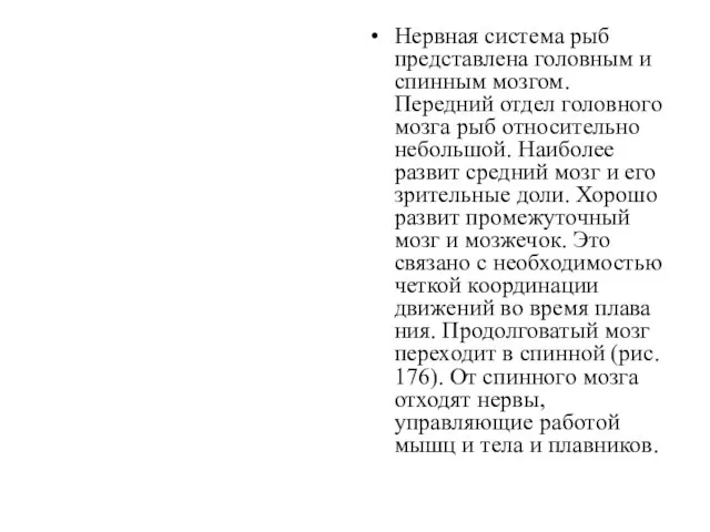 Нервная система рыб представлена головным и спинным мозгом. Передний отдел головного