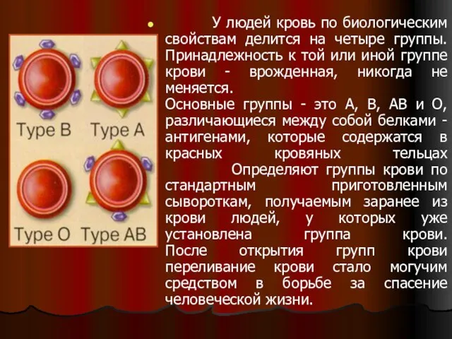 У людей кровь по биологическим свойствам делится на четыре группы. Принадлежность