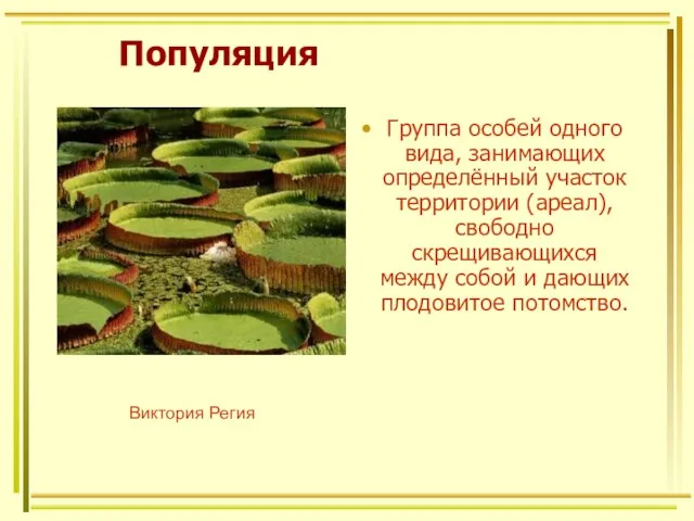 Популяция Группа особей одного вида, занимающих определённый участок территории (ареал), свободно