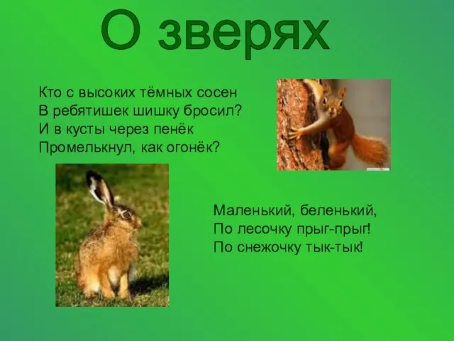 О зверях Кто с высоких тёмных сосен В ребятишек шишку бросил?