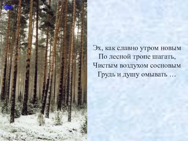 Эх, как славно утром новым По лесной тропе шагать, Чистым воздухом