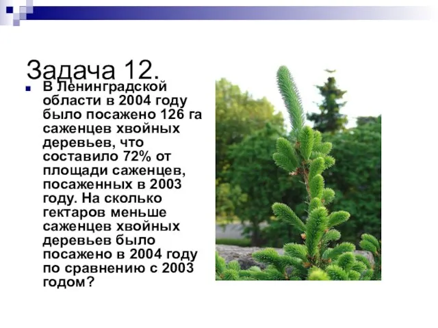 Задача 12. В Ленинградской области в 2004 году было посажено 126