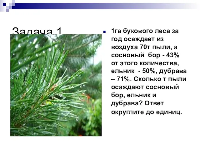 Задача 1. 1га букового леса за год осаждает из воздуха 70т