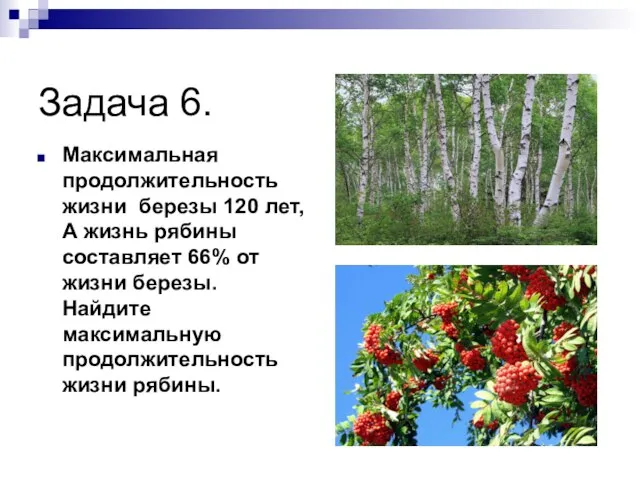 Задача 6. Максимальная продолжительность жизни березы 120 лет, А жизнь рябины