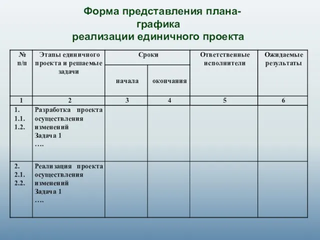 Форма представления плана-графика реализации единичного проекта