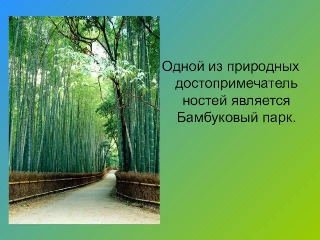 Одной из природных достопримечательностей является Бамбуковый парк.
