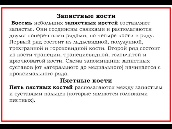 Запястные кости Восемь небольших запястных костей составляют запястье. Они соединены связками