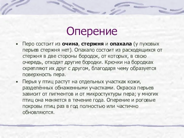 Оперение Перо состоит из очина, стержня и опахала (у пуховых перьев