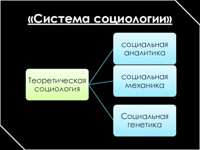 «Система социологии»