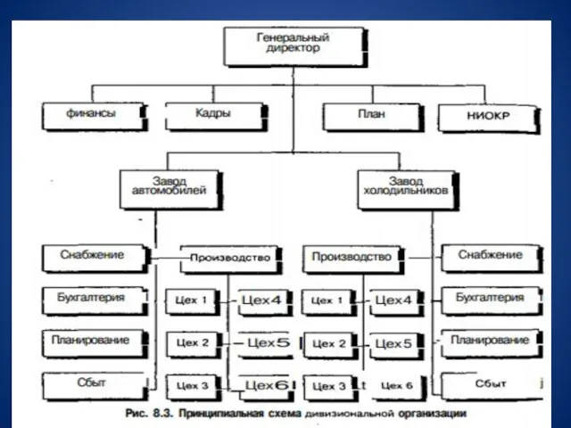 10. Изобразите дивизиональную орг. структуру