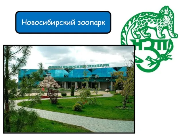 Новосибирский зоопарк