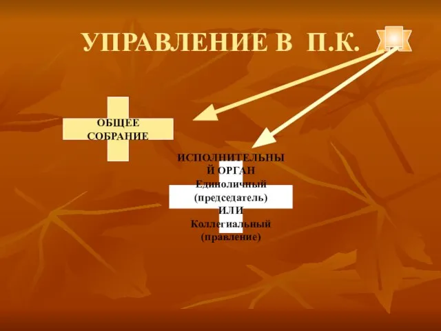 УПРАВЛЕНИЕ В П.К. ОБЩЕЕ СОБРАНИЕ ИСПОЛНИТЕЛЬНЫЙ ОРГАН Единоличный (председатель) ИЛИ Коллегиальный (правление)