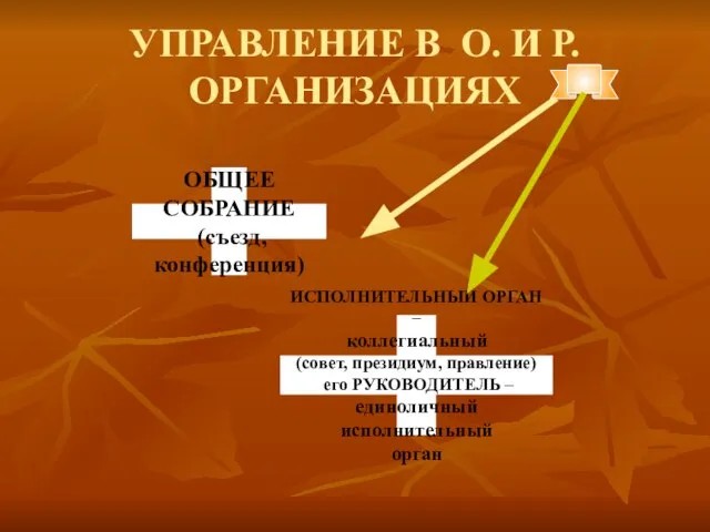 УПРАВЛЕНИЕ В О. И Р. ОРГАНИЗАЦИЯХ ОБЩЕЕ СОБРАНИЕ (съезд, конференция) ИСПОЛНИТЕЛЬНЫЙ