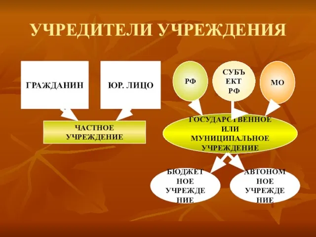 УЧРЕДИТЕЛИ УЧРЕЖДЕНИЯ ГРАЖДАНИН ЮР. ЛИЦО ЧАСТНОЕ УЧРЕЖДЕНИЕ РФ СУБЪЕКТ РФ МО