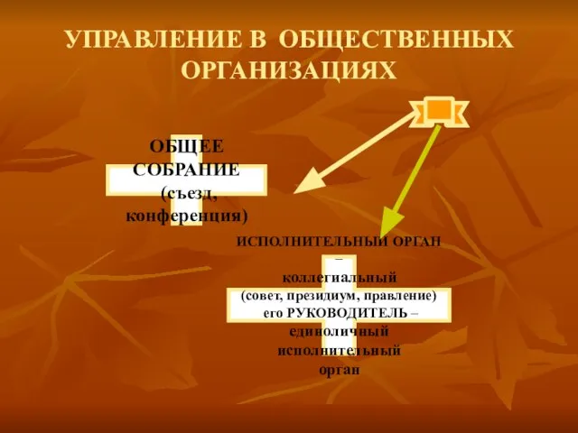 УПРАВЛЕНИЕ В ОБЩЕСТВЕННЫХ ОРГАНИЗАЦИЯХ ОБЩЕЕ СОБРАНИЕ (съезд, конференция) ИСПОЛНИТЕЛЬНЫЙ ОРГАН –