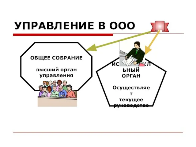 УПРАВЛЕНИЕ В ООО ОБЩЕЕ СОБРАНИЕ высший орган управления ИСПОЛНИТЕЛЬНЫЙ ОРГАН Осуществляет текущее руководство