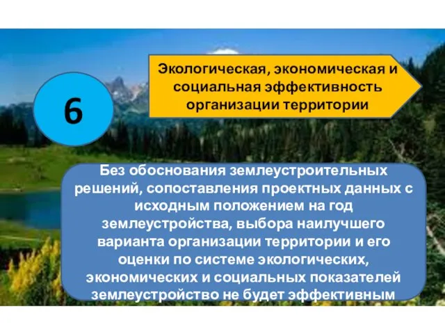 6 Экологическая, экономическая и социальная эффективность организации территории Без обоснования землеустроительных