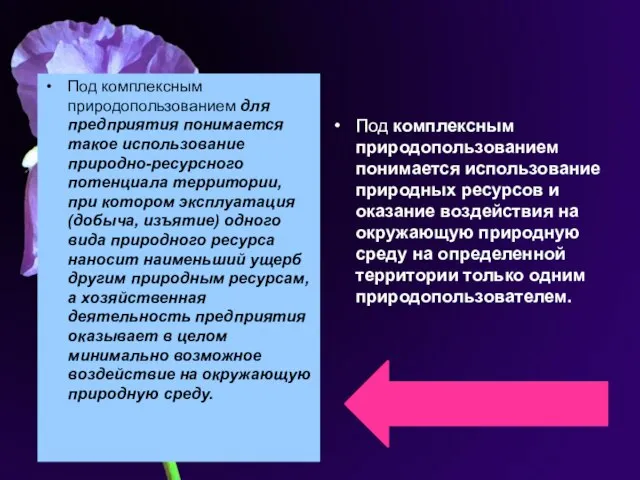 Под комплексным природопользованием для предприятия понимается такое использование природно-ресурсного потенциала территории,