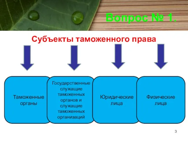 Вопрос № 1. Субъекты таможенного права Таможенные органы Государственные служащие таможенных