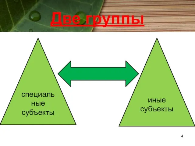 Две группы специальные субъекты иные субъекты