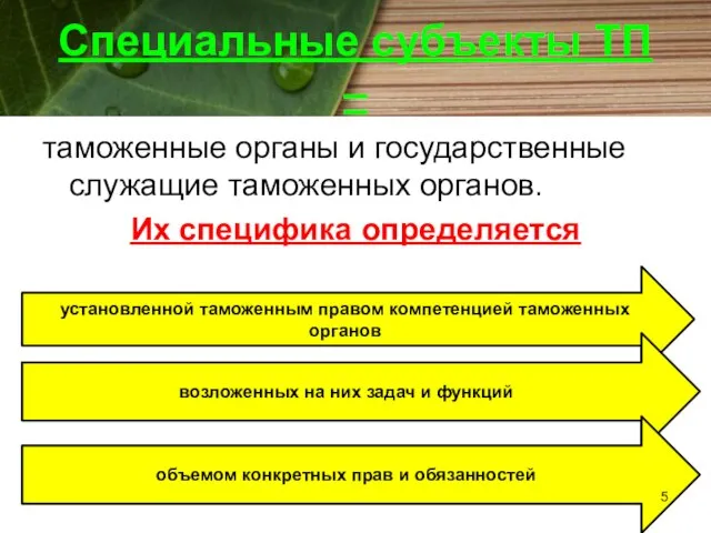 Специальные субъекты ТП – таможенные органы и государственные служащие таможенных органов.