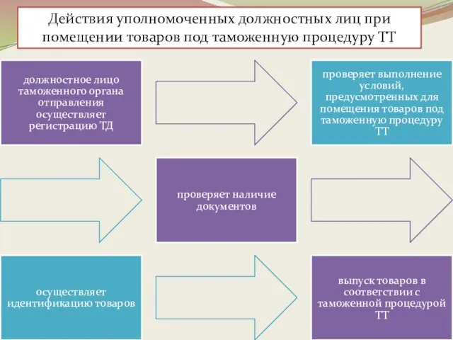 Действия уполномоченных должностных лиц при помещении товаров под таможенную процедуру ТТ