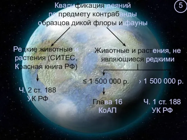 Квалификация деяний по предмету контрабанды образцов дикой флоры и фауны Редкие