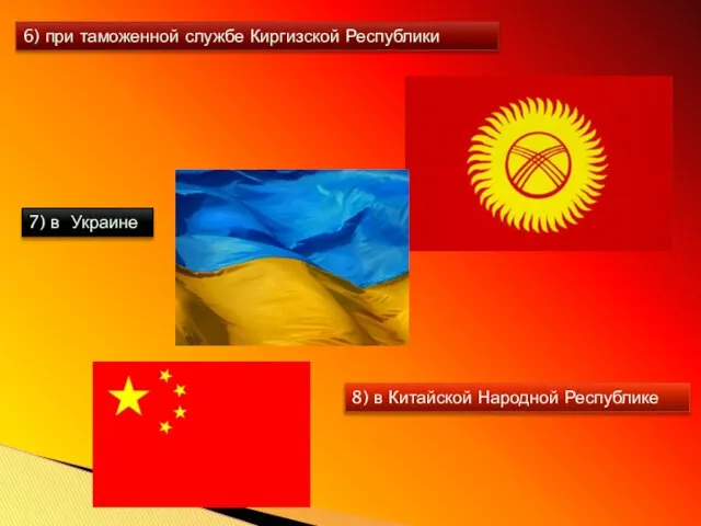 6) при таможенной службе Киргизской Республики 7) в Украине 8) в Китайской Народной Республике