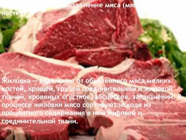 Обвалка мяса -- это отделение мяса (мягких тканей) от костей. Жиловка
