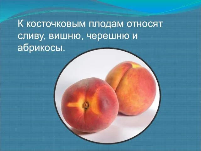 К косточковым плодам относят сливу, вишню, черешню и абрикосы.