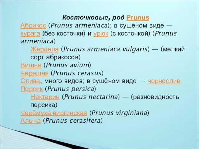 Косточковые, род Prunus Абрикос (Prunus armeniaca); в сушёном виде — курага