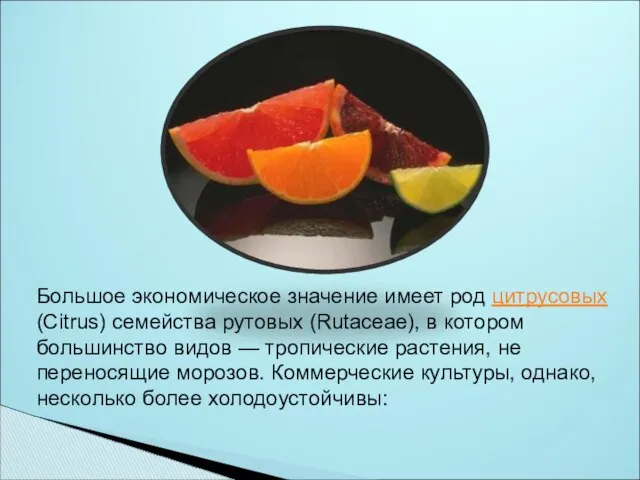 Большое экономическое значение имеет род цитрусовых (Citrus) семейства рутовых (Rutaceae), в