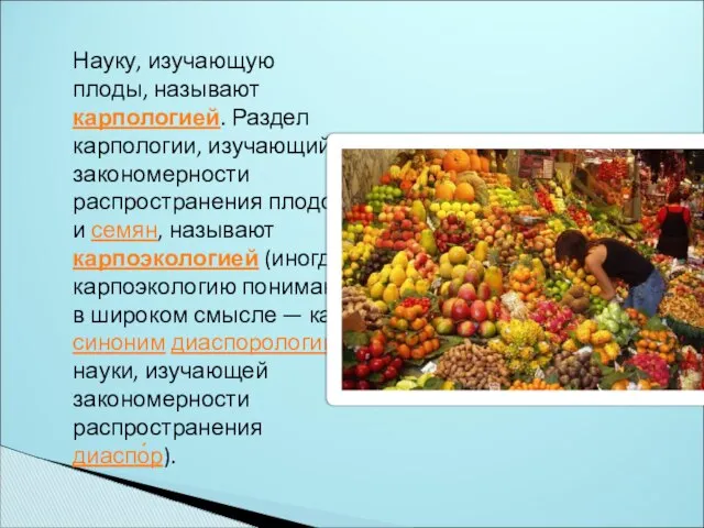Науку, изучающую плоды, называют карпологией. Раздел карпологии, изучающий закономерности распространения плодов
