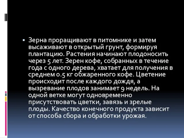 Зерна проращивают в питомнике и затем высаживают в открытый грунт, формируя