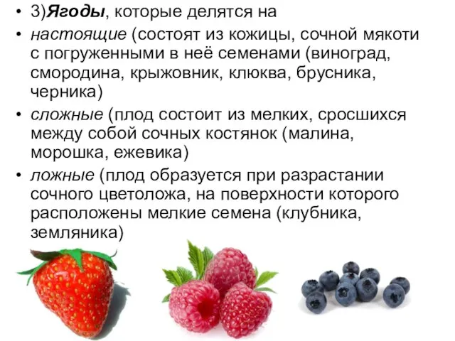 3)Ягоды, которые делятся на настоящие (состоят из кожицы, сочной мякоти с