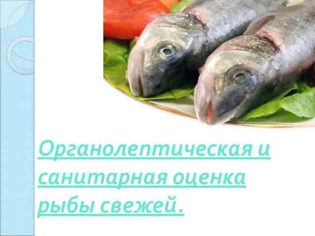 Органолептическая и санитарная оценка рыбы свежей.