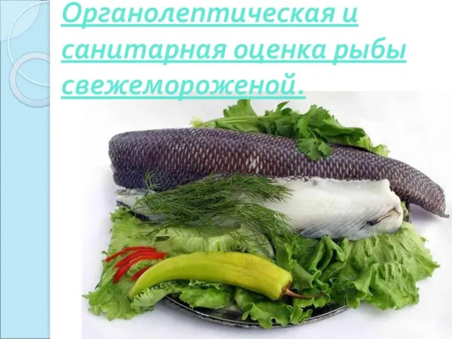 Органолептическая и санитарная оценка рыбы свежемороженой.
