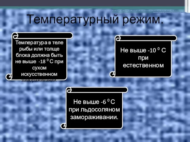 Температурный режим. Температура в теле рыбы или толще блока должна быть