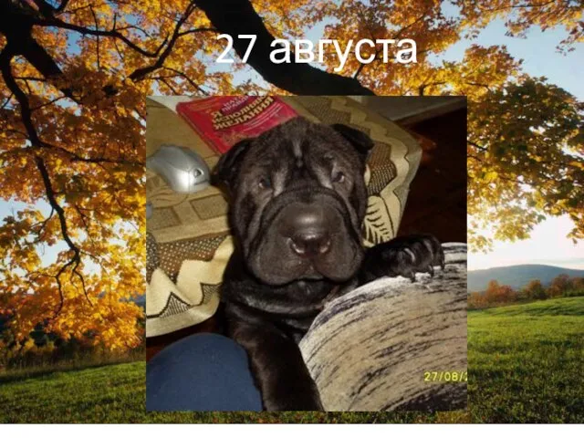 27 августа