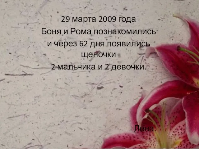 29 марта 2009 года Боня и Рома познакомились и через 62