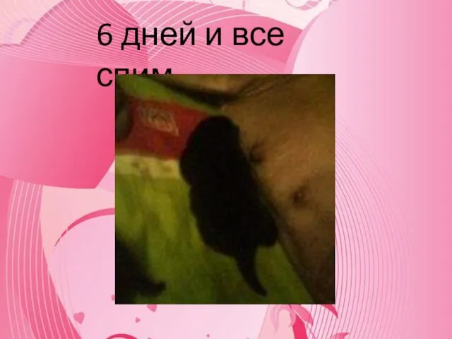 6 дней и все спим