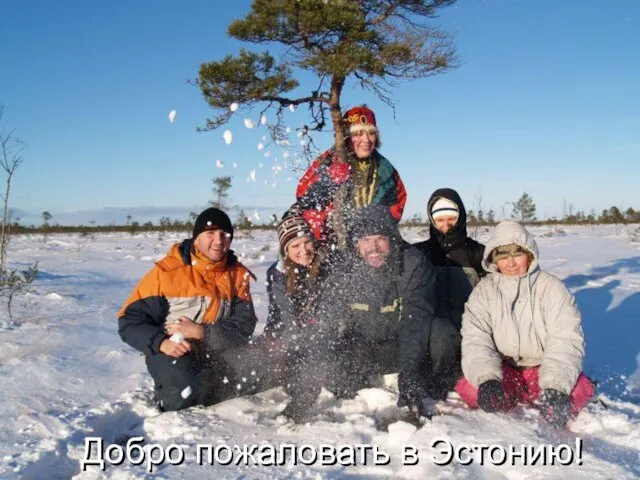 Добро пожаловать в Эстонию! Добро пожаловать в Эстонию! Добро пожаловать в Эстонию!