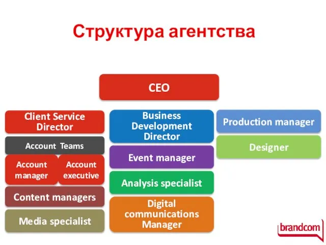 Структура агентства CEO Client Service Director Business Development Director Production manager