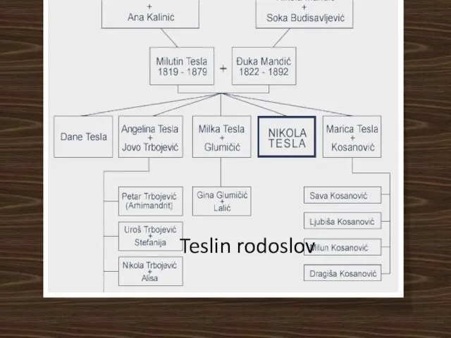 Teslin rodoslov