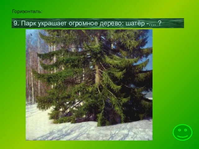 Горизонталь: 9. Парк украшает огромное дерево: шатёр -.... ?